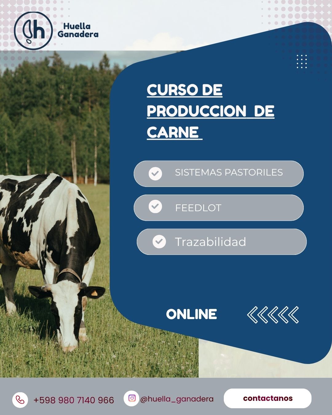 Producción de Carne
